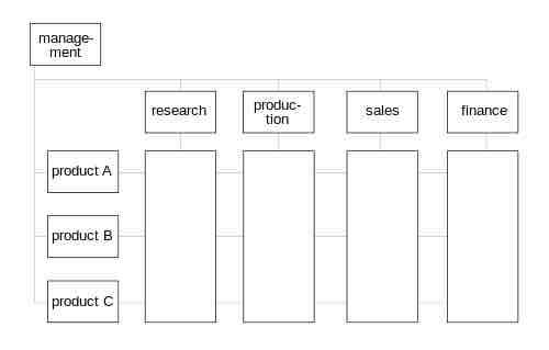 Matrix organizational structure